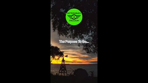 The Purpose To Go...