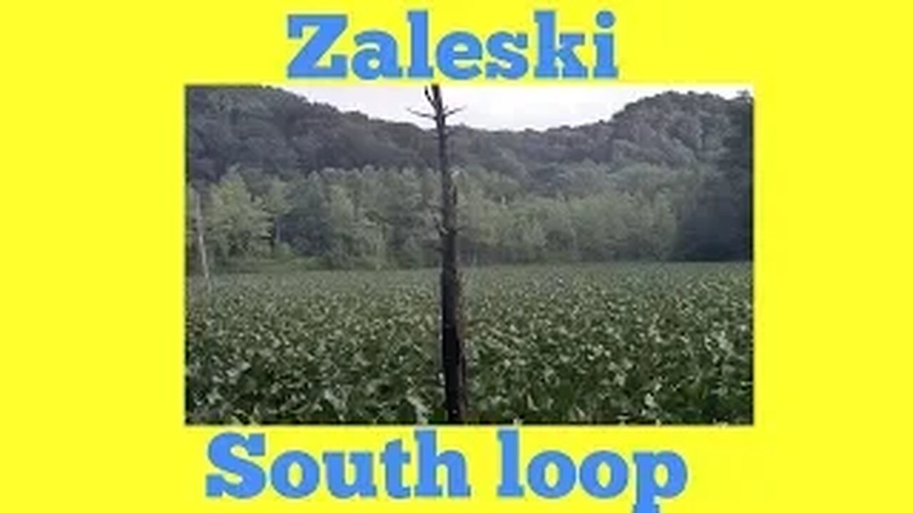 Zaleski South Loop Summer 2019