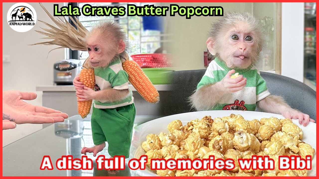 Lala Craves Butter Popcorn So She Asks Thuy To Make it For Her to Enjoy !