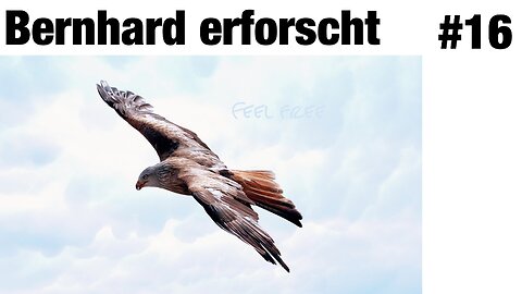 Es gibt nur eine wahre Freiheit