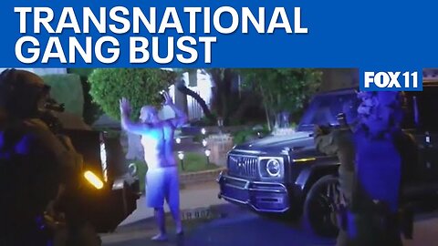 Feds bust transnational gangs in LA