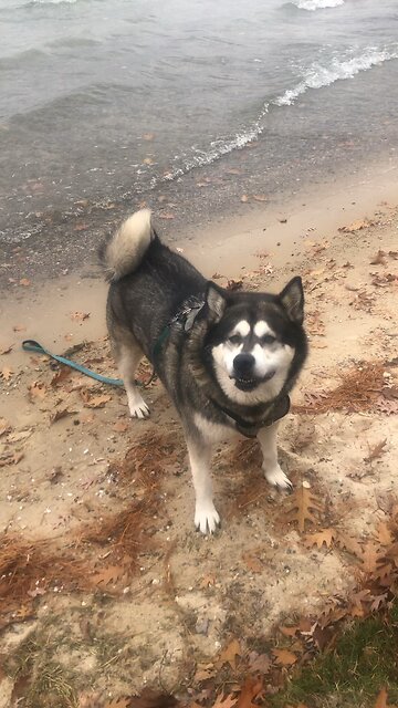 Wednesday November 12, The Lord himself watches over you!