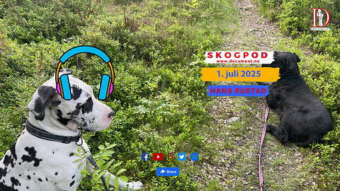 Skogpod 1. juli 2025