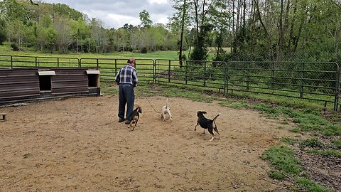The finest NC Fox trainer ever!