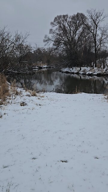 Some Ducks on Salt Creek, New Year's Eve, 2025
