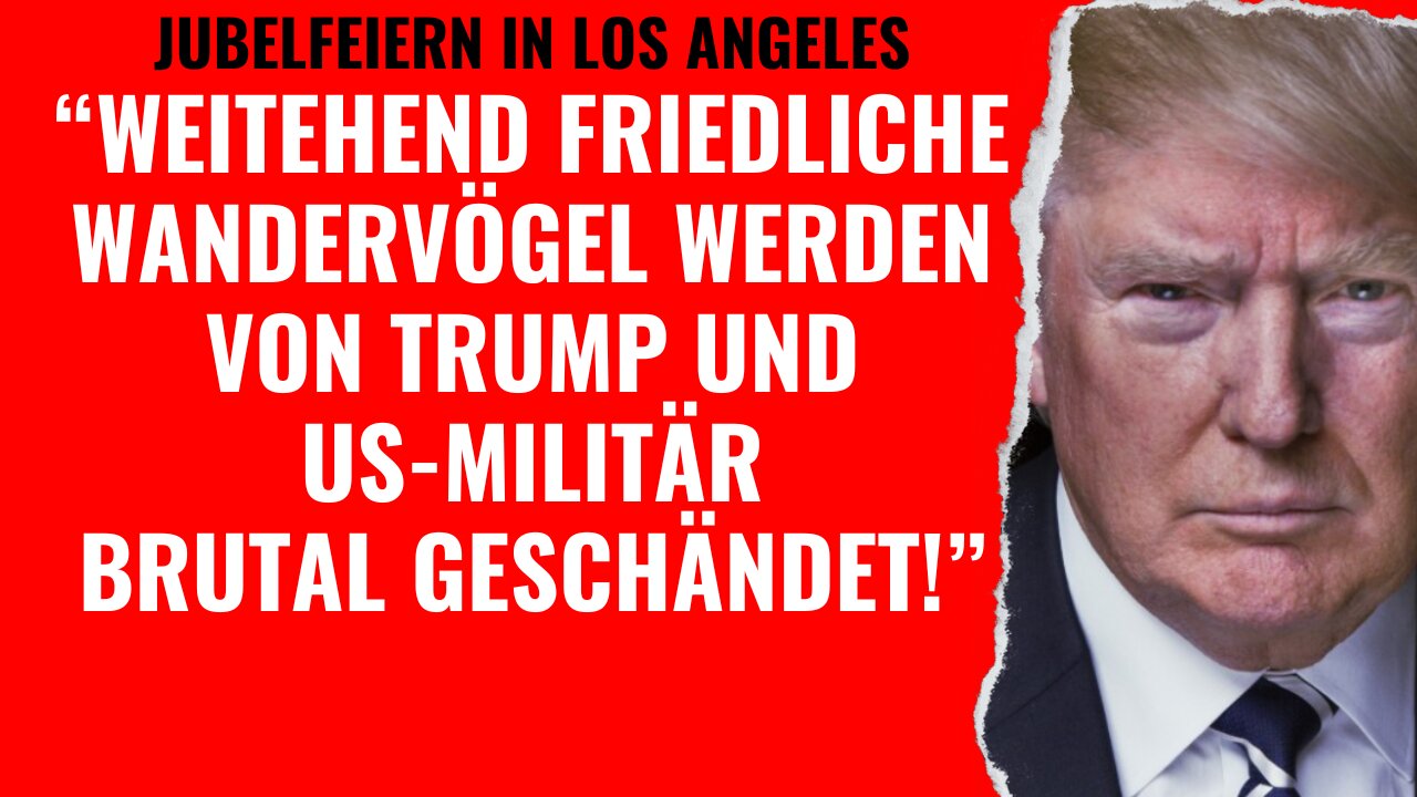 Jubelfeiern in Los Angeles: "Weitgehend friedliche WANDERVÖGEL werden VON TRUMP GESCHÄNDET!