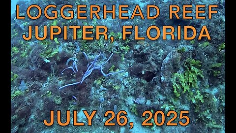 SCUBA Diving Loggerhead Reef, Jupiter, Florida