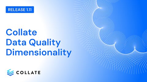 Data Quality Dimensions (v1.11)