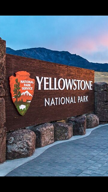 apex predator 317: a killer among us