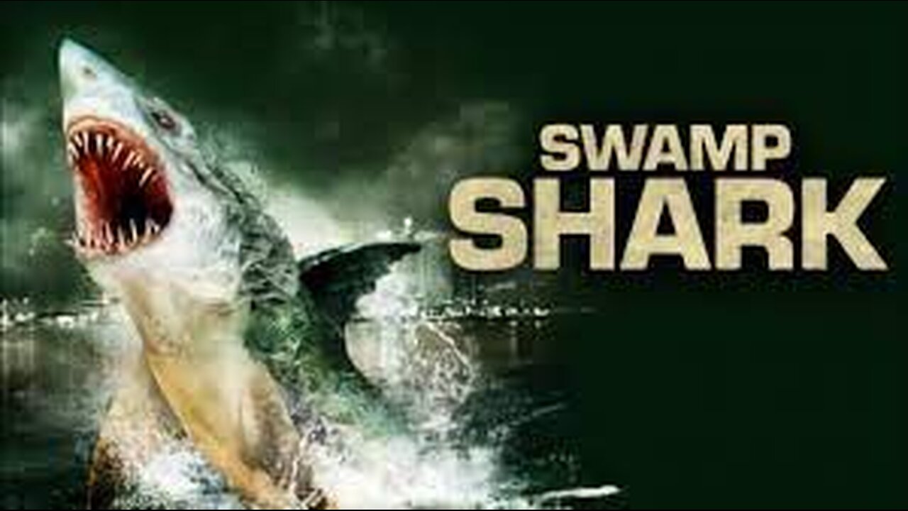 Fest or Fiasco: Sheriff vs. Shark Concern