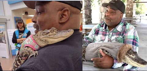 Pennsylvania's Emotional Support Alligator Kicked Out of Walmart! You Won't Believe Why!