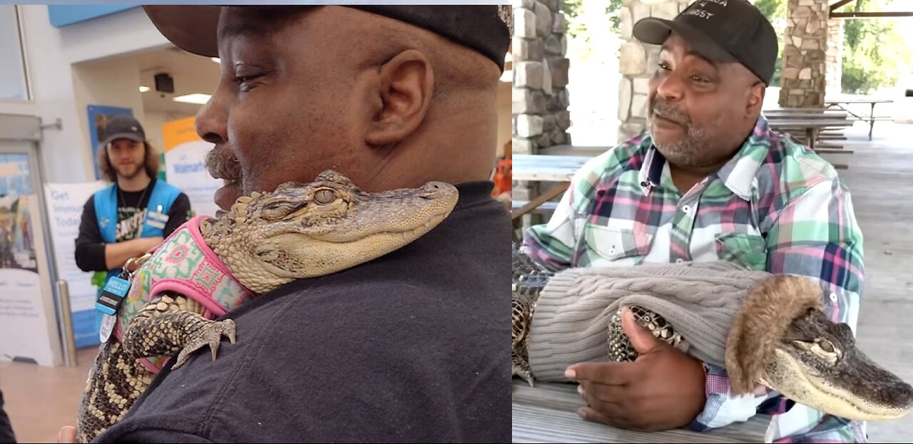 Pennsylvania's Emotional Support Alligator Kicked Out of Walmart! You Won't Believe Why!