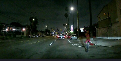 Night drive in South Los Angeles - they're everywhere...
