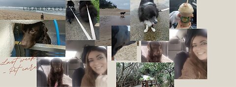 Past week of Petcare