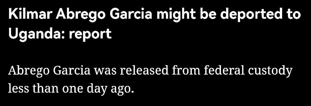 🐅 My Cat Gave Birth, Beautiful Kitty