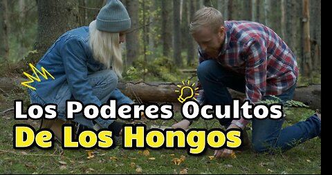 Descubre los Poderes Terapéuticos de los Hongos Mágicos