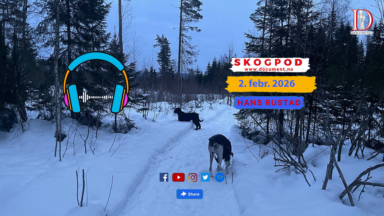 Skogpod 2. februar 2026