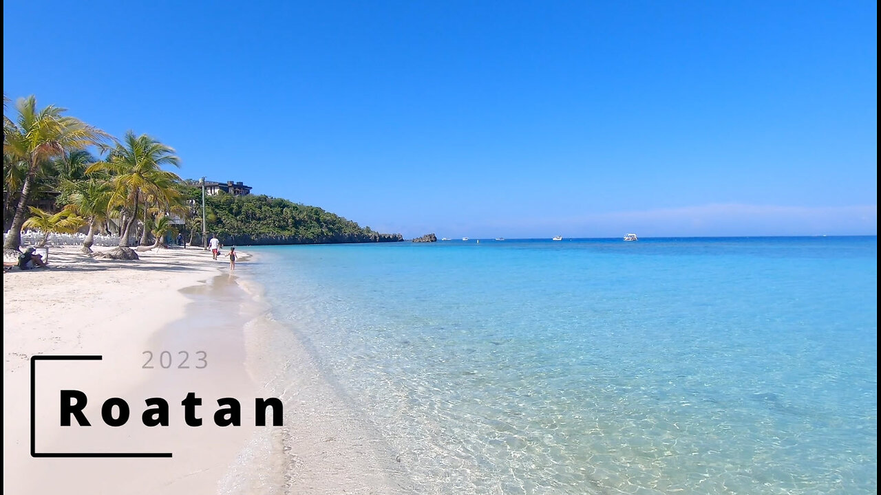 Roatan 2023 Below the Surface