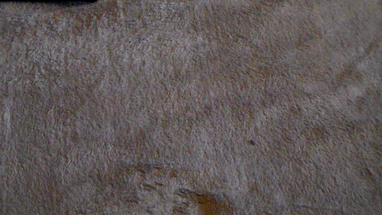 End of April 2025 Pickups