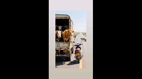 बचना है तो भागो