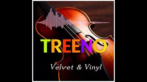 Velvet And Vinyl