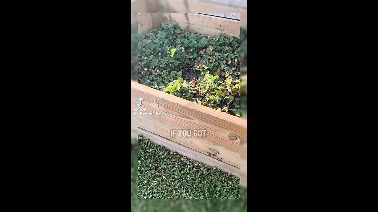 How to get rid of Ants