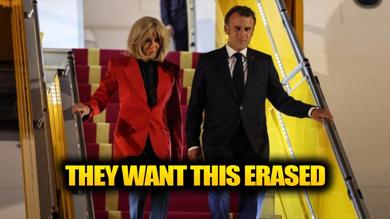 Brigitte Macron SLAPS Emmanuel Macron at Hanoi Airport?!
