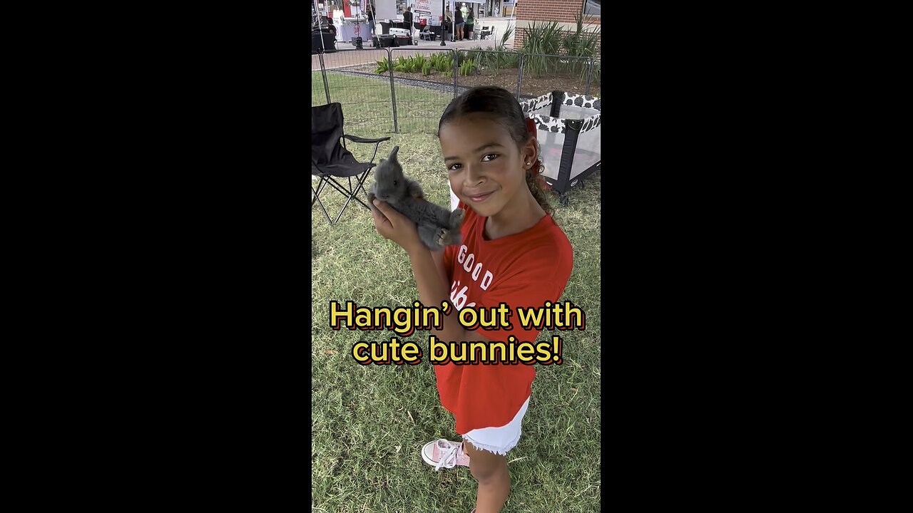 Just hangin’ out with cute bunnies at The Katy Exchange.