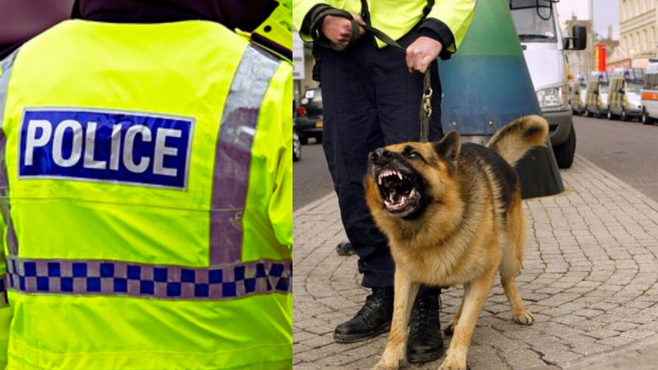 POLICE OFFICER CRAZY BEHAVIOUR OWN DOGS BITES HIM