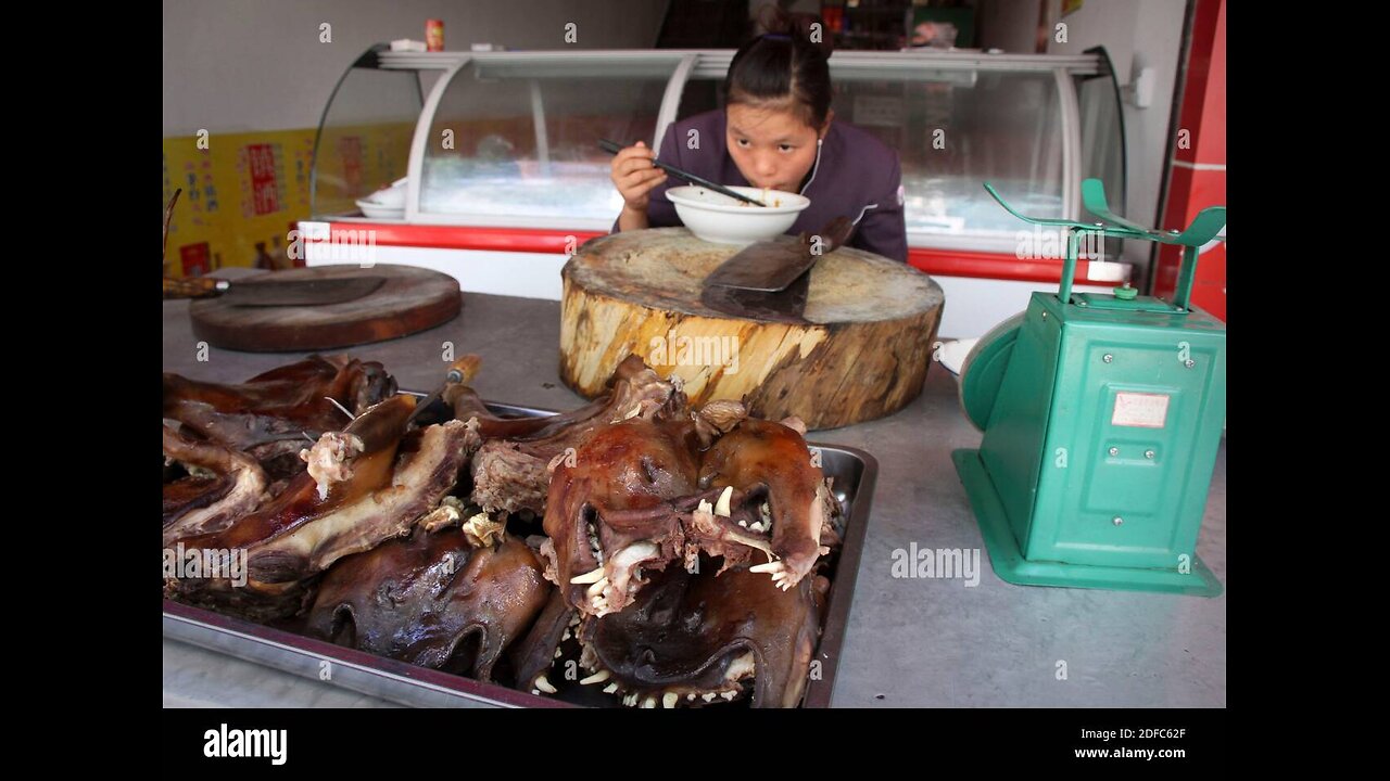 the chineses and their pet diet/ los chinos y su dieta de mascotas