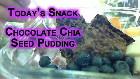 Today’s Snack: Chocolate Chia Seed Pudding With Fruit (RECIPE in description, Gluten and Dairy Free)