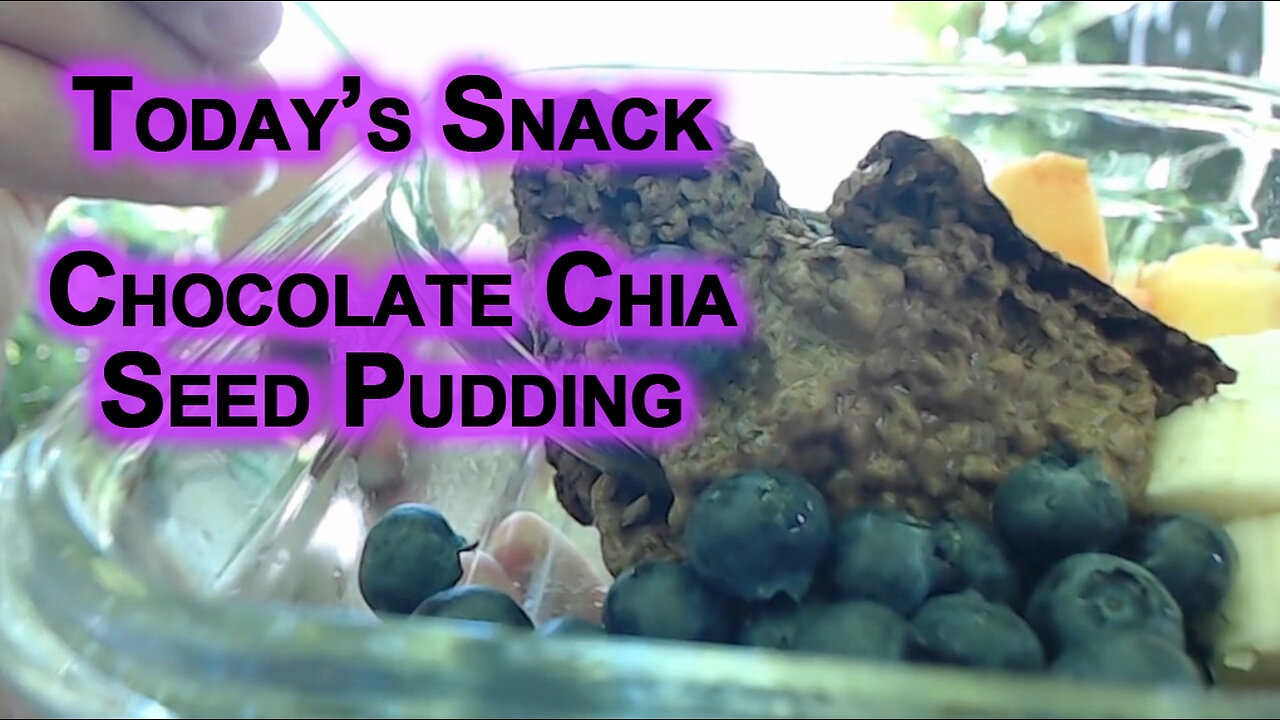 Today’s Snack: Chocolate Chia Seed Pudding With Fruit (RECIPE in description, Gluten and Dairy Free)