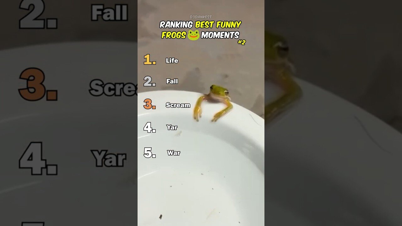Ranking Best Frog Moments