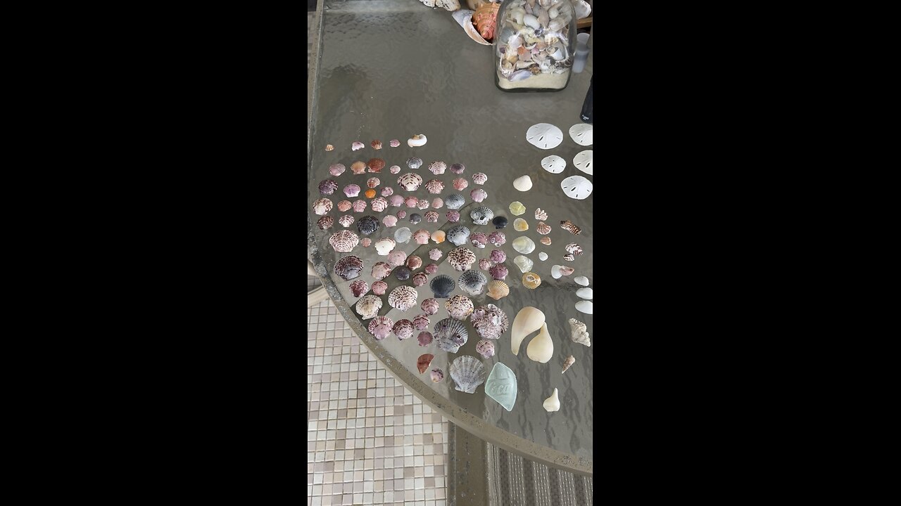 Beach Finds 9/7/2025 | 4K