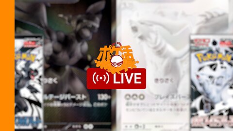 Black Bolt & White Flare Release Day Opening! (Poké-Katsu Live) #ポケカ #PokemonTCG