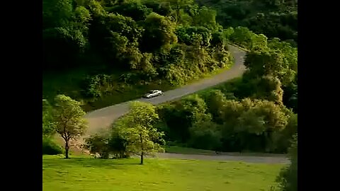 relaxing car driver