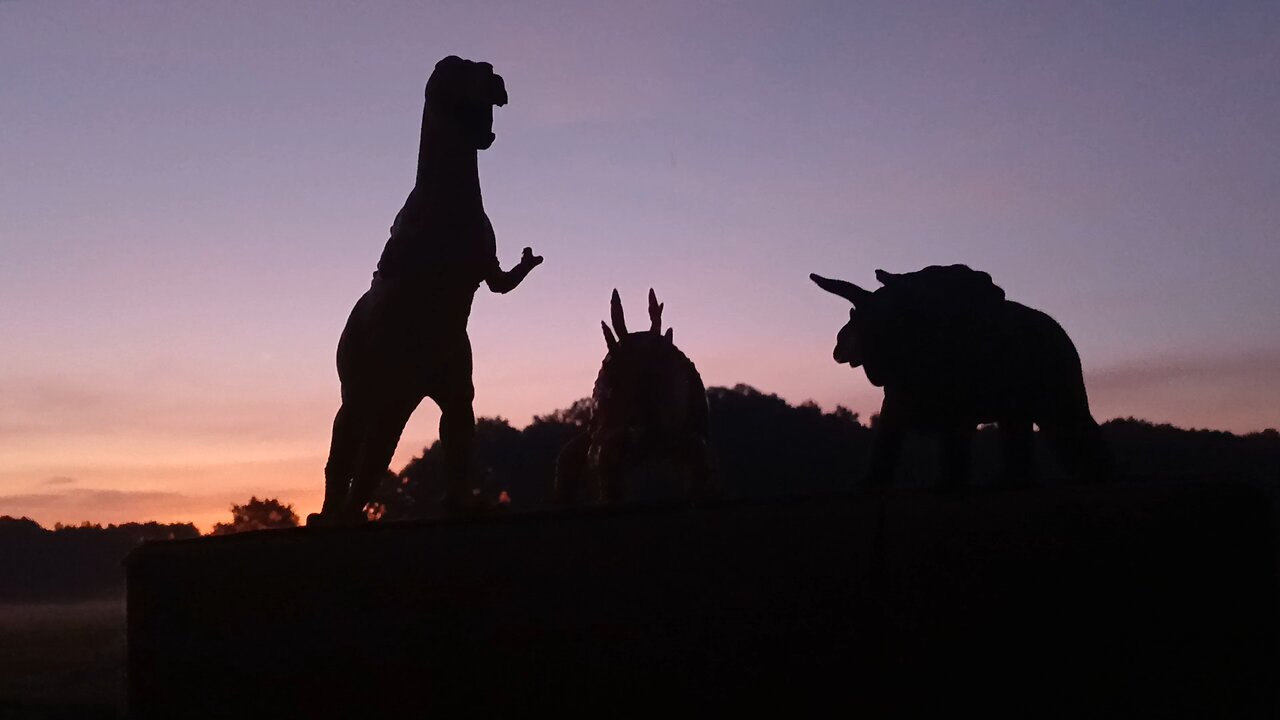 Silhouette is just French for Shadow