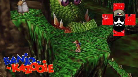 Banjo-Kazooie 100% Bubblegloop Swamp