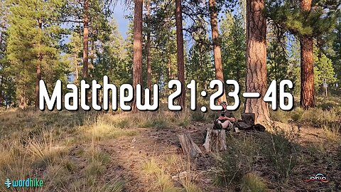 Matthew 21:23-46, Bible Reading in Nature, BSB
