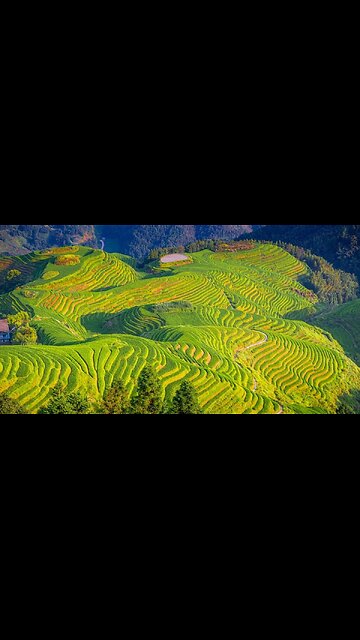 Lost in the Rice Fields of China | Timeless Landscapes & Rural Life