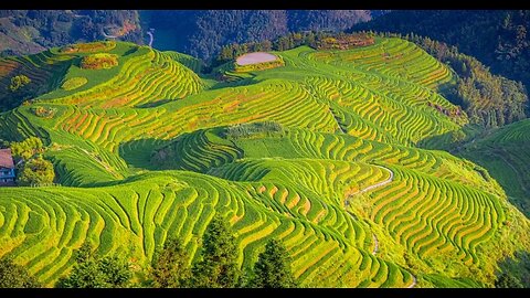 Lost in the Rice Fields of China | Timeless Landscapes & Rural Life