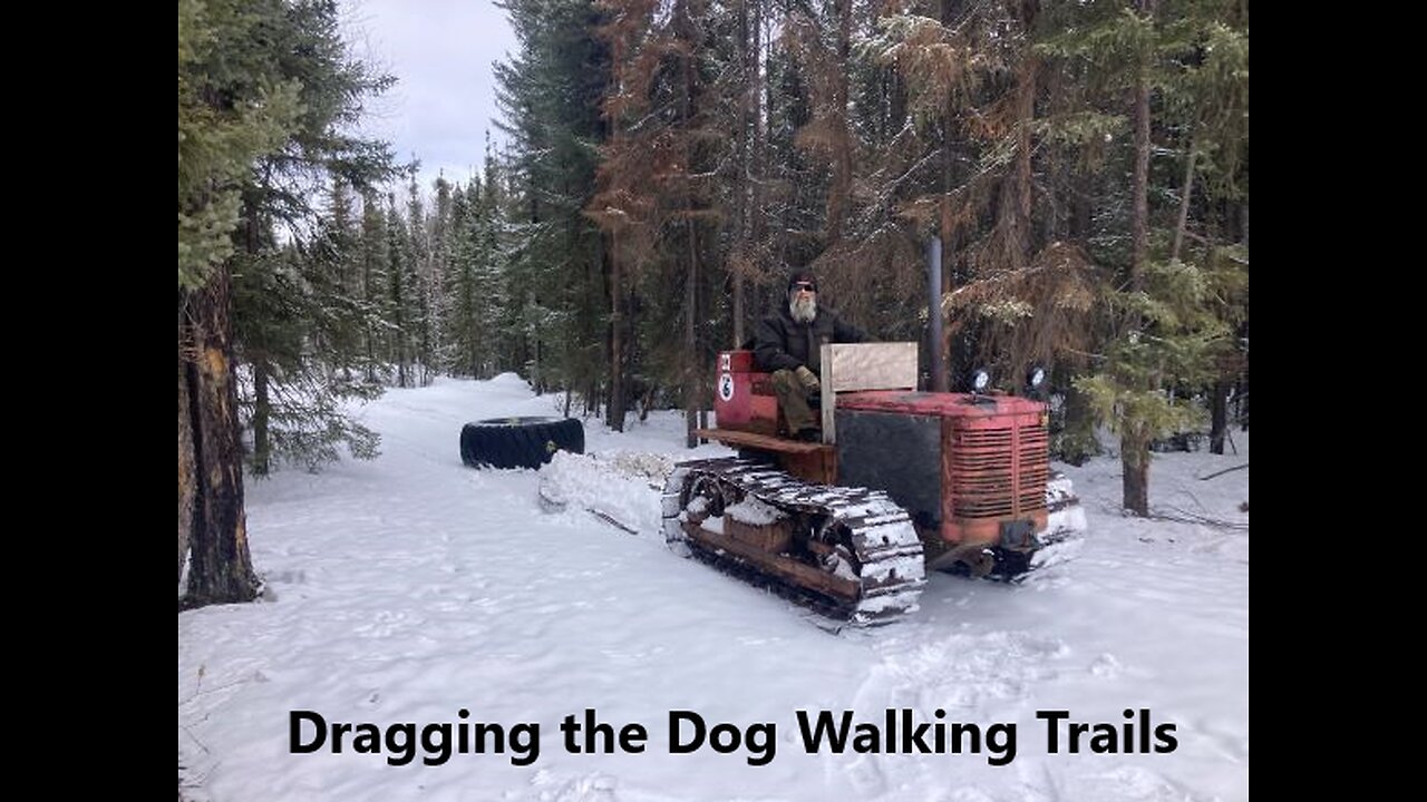 It Maybe Spring But Dragging the Dog Walking Trails Apr 14 2025