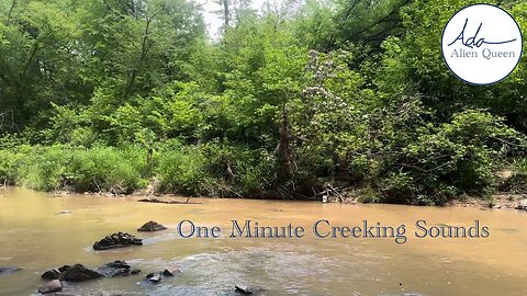 Ada Alien Queen • Earth Heart Beats • Take #00030 • One Minute Creeking Sounds