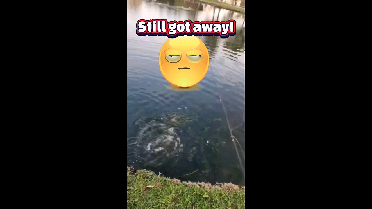 Reel Struggle: My Chance to Catch a Bass Ends in... 🫣 #bassfishing #ultralightfishing #bfsfishing