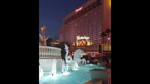 EP 8 Travelin does Vegas part 2