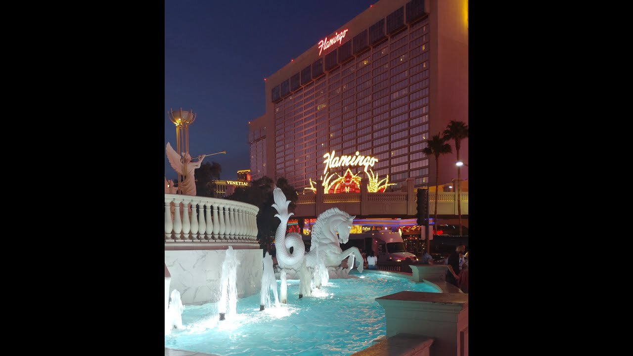 EP 8 Travelin does Vegas part 2