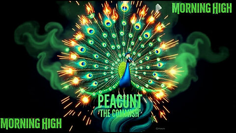 MORNING HIGH 🌞 SATURDAY ☁️ ☁️🚬🤘🏻👀🦚