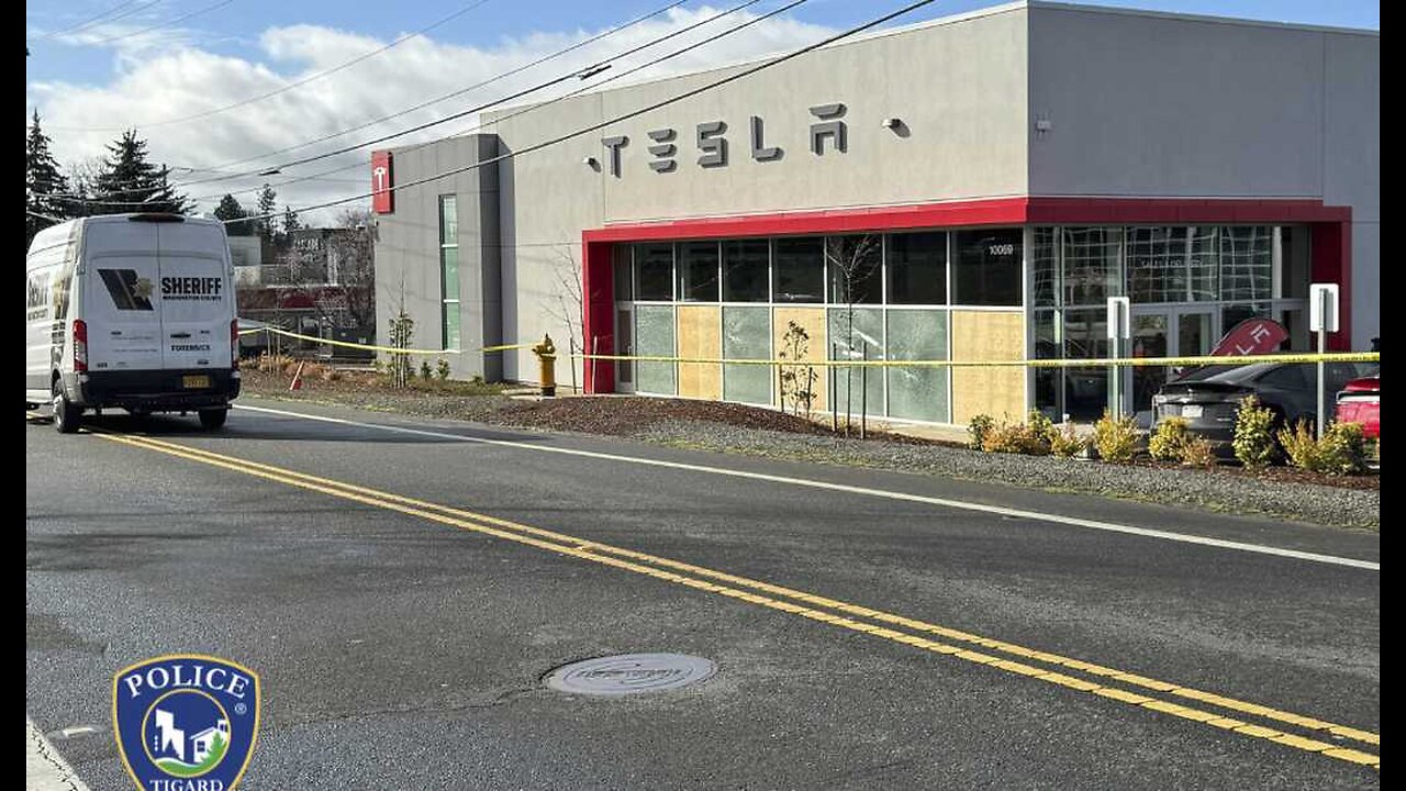 'Elon Derangement Syndrome' Gets Taken Up a Notch As Leftists Launch Site Targeting Tesla Owners