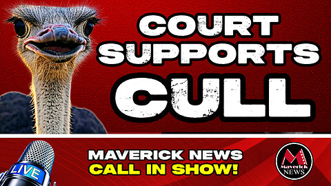 Ostrich CULL IMMINENT On B.C. Farm - As Court Upholds Government Order | Maverick NEWS LIVE