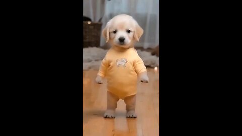 Dancing Puppy Deli 🐶😂 Cute Dog Dancing Puppy